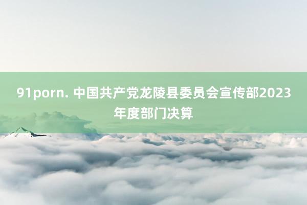 91porn. 中国共产党龙陵县委员会宣传部2023年度部门决算