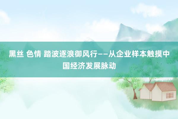 黑丝 色情 踏波逐浪御风行——从企业样本触摸中国经济发展脉动