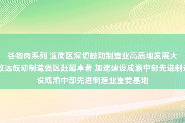 谷物肉系列 潼南区深切鼓动制造业高质地发展大会召开 负重致远鼓动制造强区赶超卓著 加速建设成渝中部先进制造业重要基地