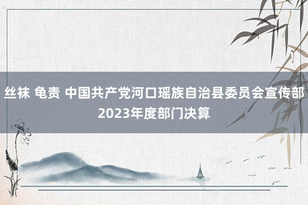 丝袜 龟责 中国共产党河口瑶族自治县委员会宣传部2023年度部门决算