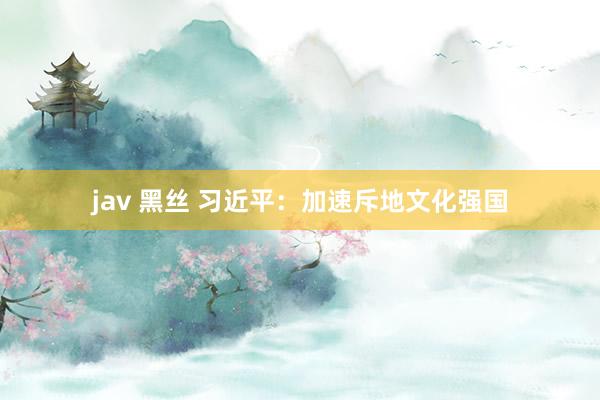 jav 黑丝 习近平：加速斥地文化强国