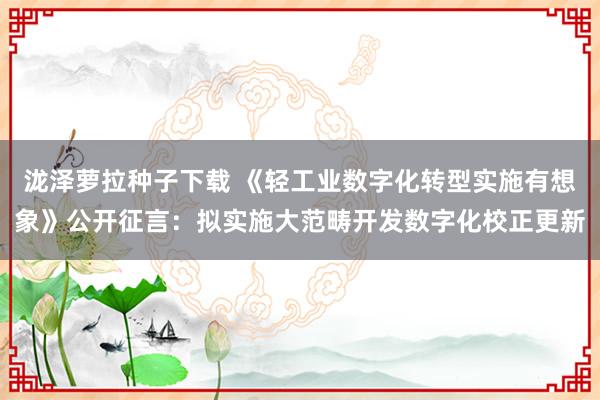 泷泽萝拉种子下载 《轻工业数字化转型实施有想象》公开征言：拟实施大范畴开发数字化校正更新