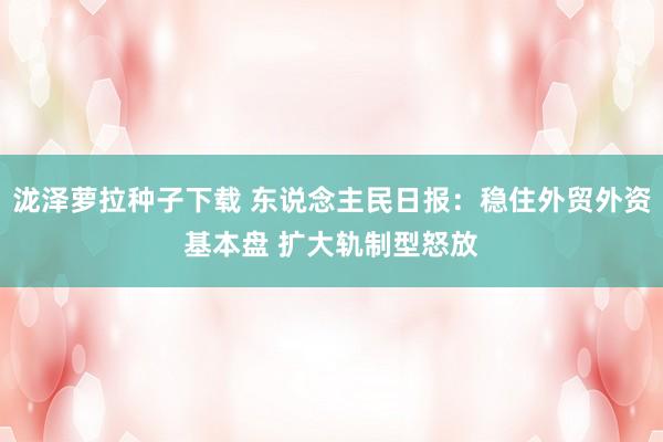 泷泽萝拉种子下载 东说念主民日报：稳住外贸外资基本盘 扩大轨制型怒放