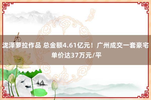 泷泽萝拉作品 总金额4.61亿元！广州成交一套豪宅 单价达37万元/平