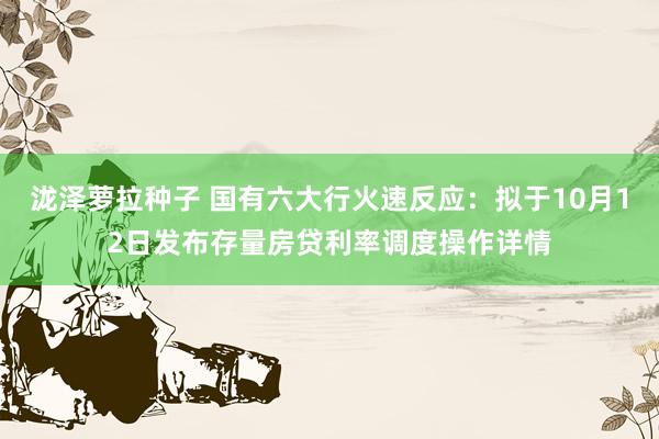 泷泽萝拉种子 国有六大行火速反应：拟于10月12日发布存量房贷利率调度操作详情