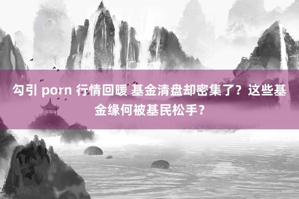 勾引 porn 行情回暖 基金清盘却密集了？这些基金缘何被基民松手？