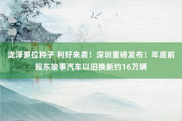 泷泽萝拉种子 利好来袭！深圳重磅发布！年底前股东竣事汽车以旧换新约16万辆