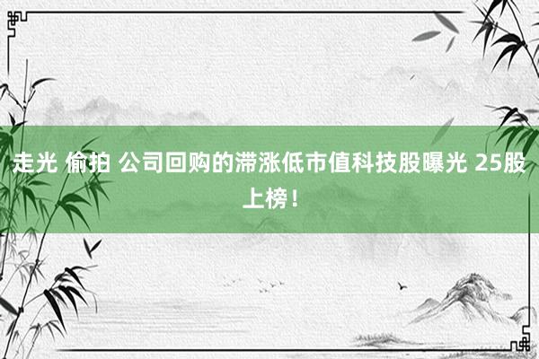 走光 偷拍 公司回购的滞涨低市值科技股曝光 25股上榜！