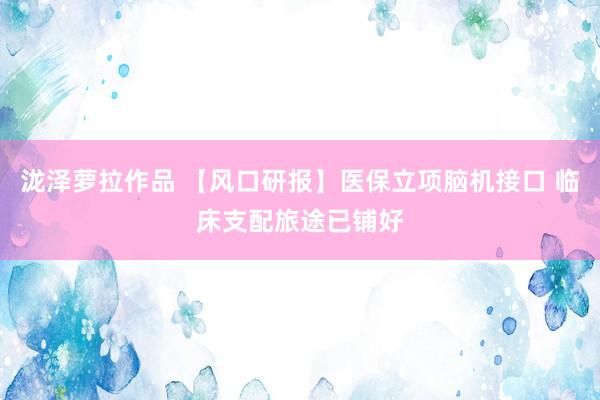 泷泽萝拉作品 【风口研报】医保立项脑机接口 临床支配旅途已铺好