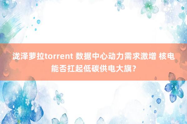 泷泽萝拉torrent 数据中心动力需求激增 核电能否扛起低碳供电大旗？