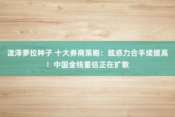 泷泽萝拉种子 十大券商策略：眩惑力合手续提高！中国金钱重估正在扩散