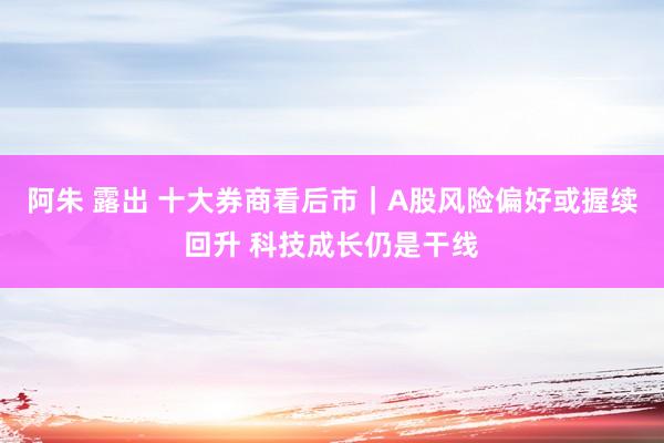 阿朱 露出 十大券商看后市｜A股风险偏好或握续回升 科技成长仍是干线