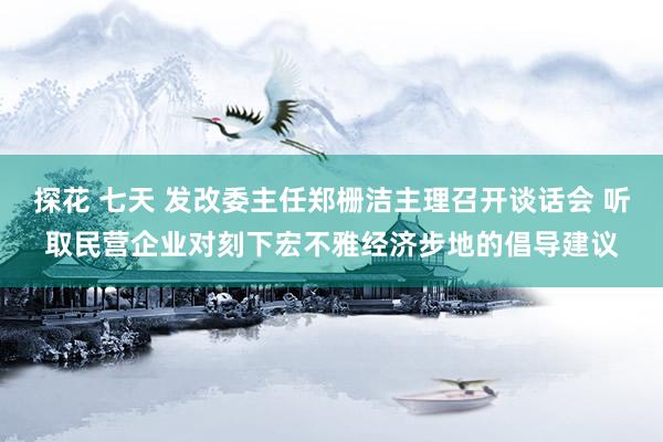 探花 七天 发改委主任郑栅洁主理召开谈话会 听取民营企业对刻下宏不雅经济步地的倡导建议