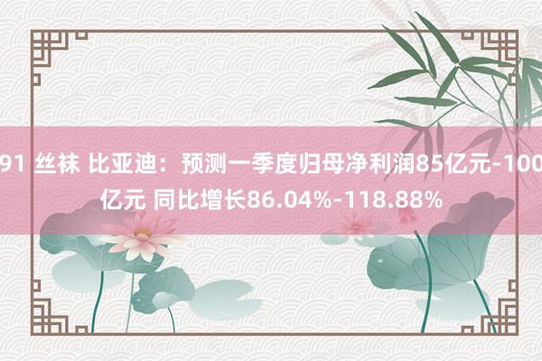 91 丝袜 比亚迪：预测一季度归母净利润85亿元-100亿元 同比增长86.04%-118.88%