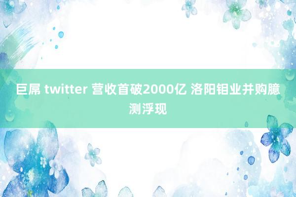 巨屌 twitter 营收首破2000亿 洛阳钼业并购臆测浮现