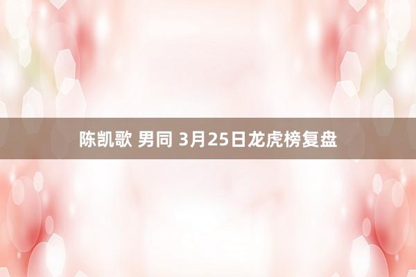陈凯歌 男同 3月25日龙虎榜复盘